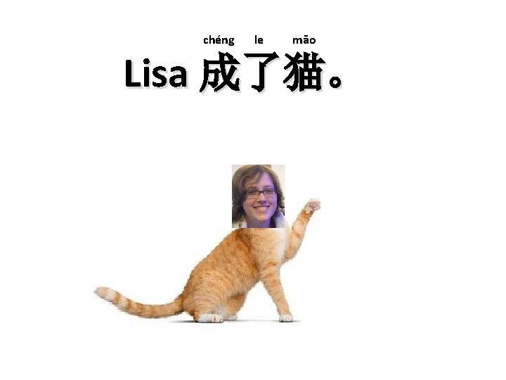 chéng le māo Lisa 成了猫。 