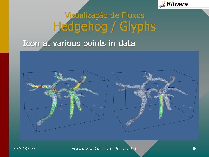 Visualização de Fluxos Hedgehog / Glyphs Icon at various points in data 06/01/2022 Visualização