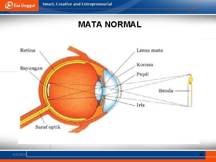 MATA NORMAL 6/6/2021 34 