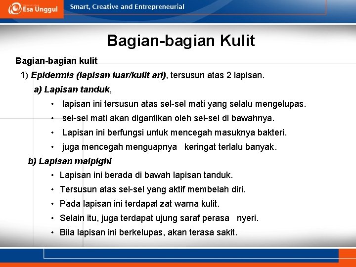 Bagian-bagian Kulit Bagian-bagian kulit 1) Epidermis (lapisan luar/kulit ari), tersusun atas 2 lapisan. a)