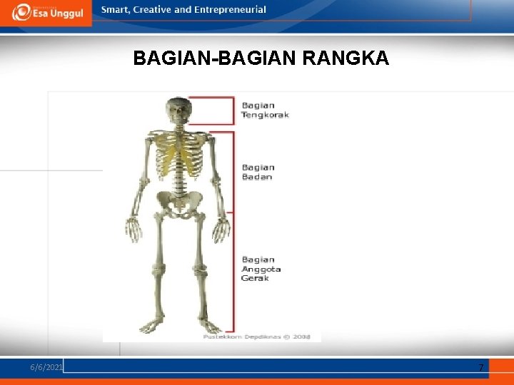 BAGIAN-BAGIAN RANGKA 6/6/2021 7 