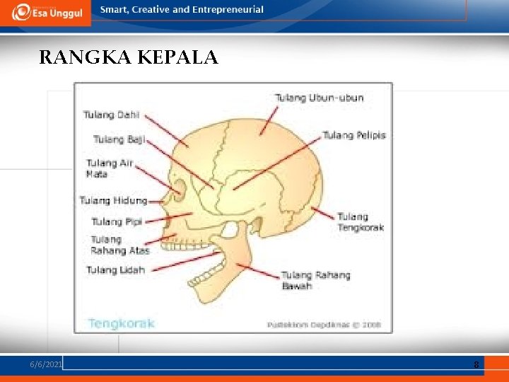 RANGKA KEPALA 6/6/2021 8 