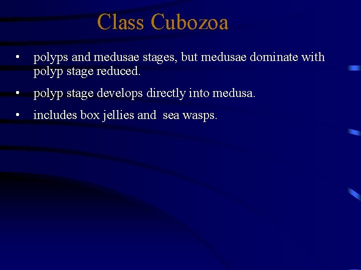 Class Cubozoa • polyps and medusae stages, but medusae dominate with polyp stage reduced.