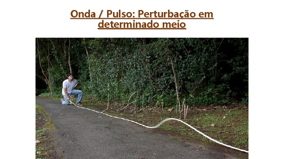 Onda / Pulso: Perturbação em determinado meio 