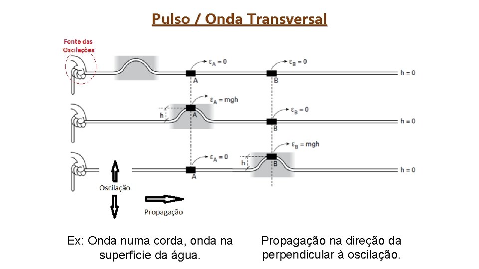 Pulso / Onda Transversal Ex: Onda numa corda, onda na superfície da água. Propagação
