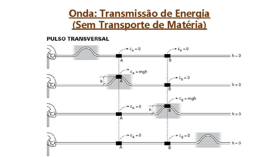 Onda: Transmissão de Energia (Sem Transporte de Matéria) 