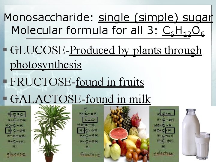 Monosaccharide: single (simple) sugar Molecular formula for all 3: C 6 H 12 O