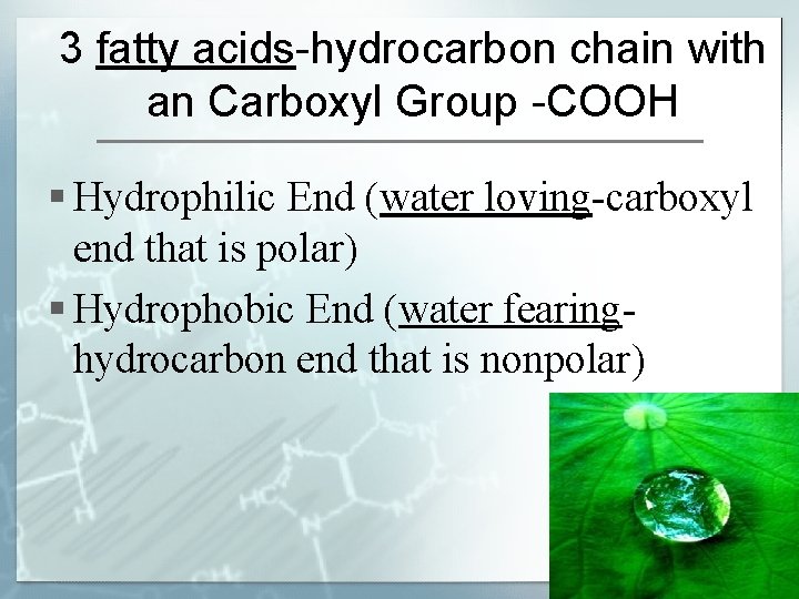 3 fatty acids-hydrocarbon chain with an Carboxyl Group -COOH § Hydrophilic End (water loving-carboxyl