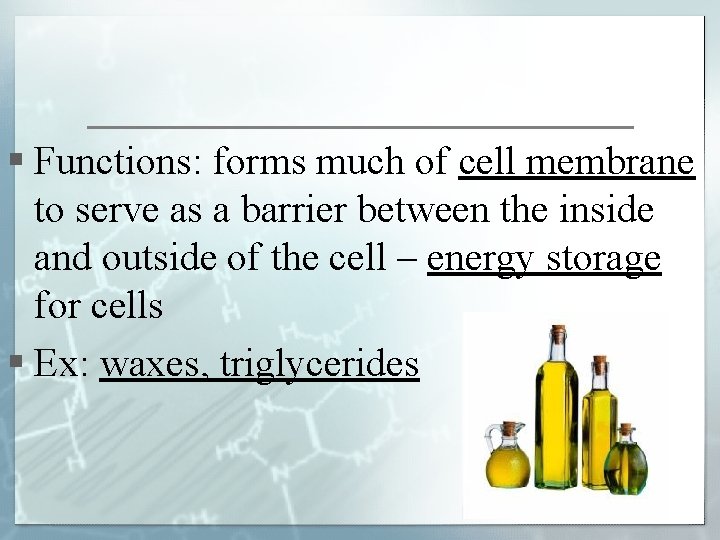 § Functions: forms much of cell membrane to serve as a barrier between the