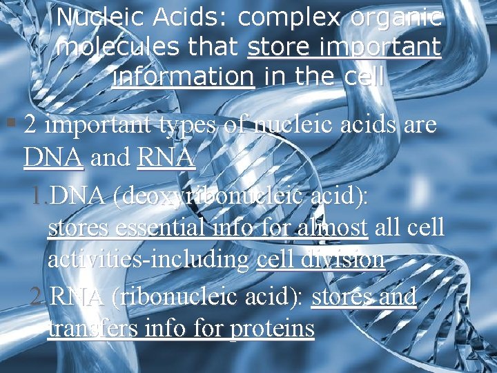 Nucleic Acids: complex organic molecules that store important information in the cell § 2