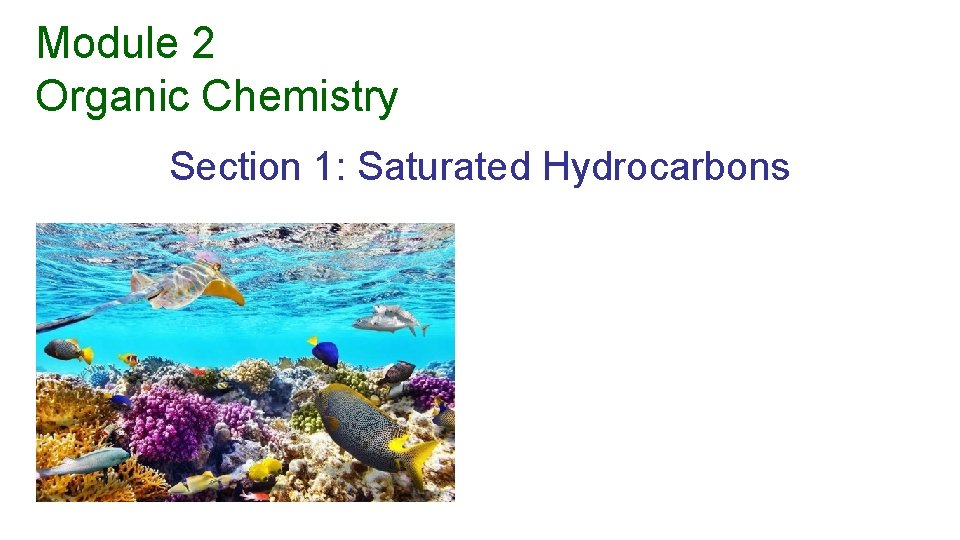 Module 2 Organic Chemistry Section 1: Saturated Hydrocarbons 