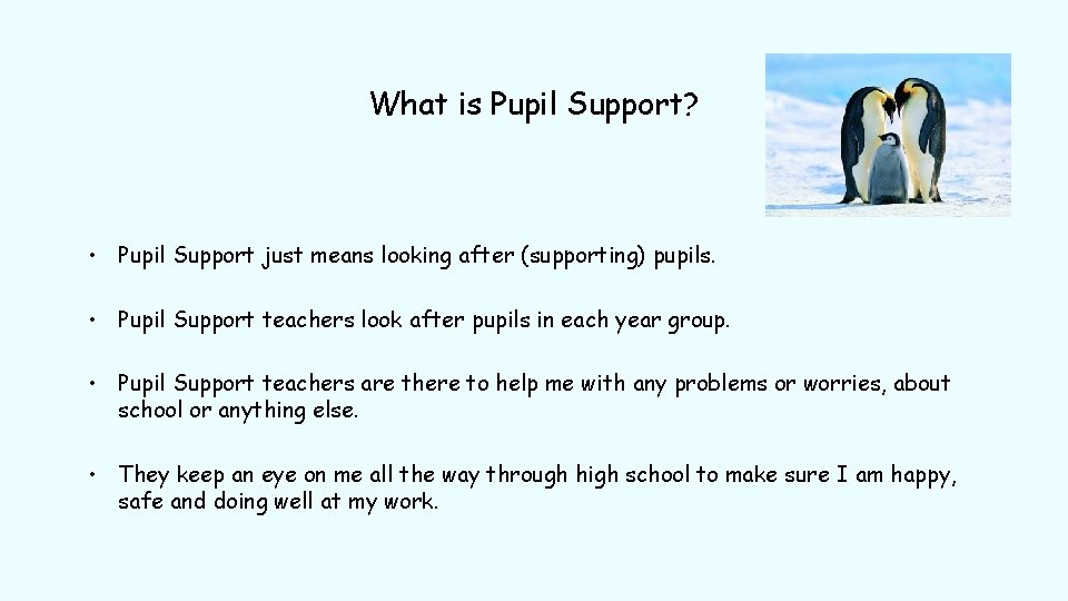 What is Pupil Support? • Pupil Support just means looking after (supporting) pupils. •