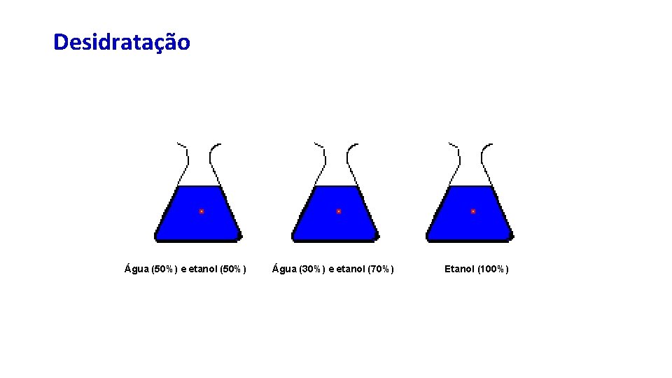 Desidratação Água (50%) e etanol (50%) Água (30%) e etanol (70%) Etanol (100%) 