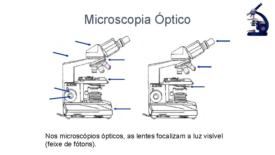 Microscopia Óptico Nos microscópios ópticos, as lentes focalizam a luz visível (feixe de fótons).