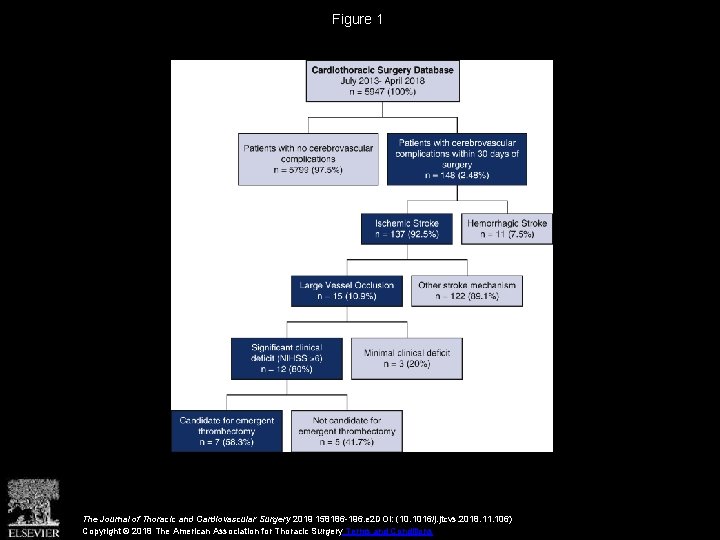 Figure 1 The Journal of Thoracic and Cardiovascular Surgery 2019 158186 -196. e 2