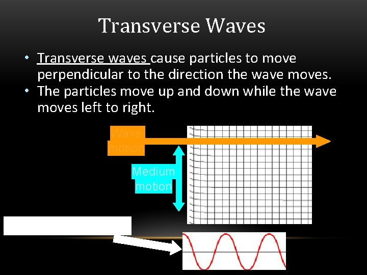 Transverse Waves • Transverse waves cause particles to move perpendicular to the direction the