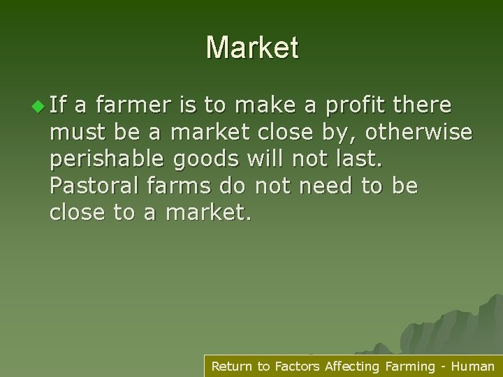 Market u If a farmer is to make a profit there must be a