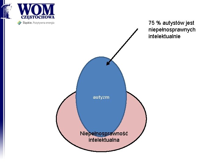 75 % autystów jest niepełnosprawnych intelektualnie autyzm ni Niepełnosprawność intelektualna 