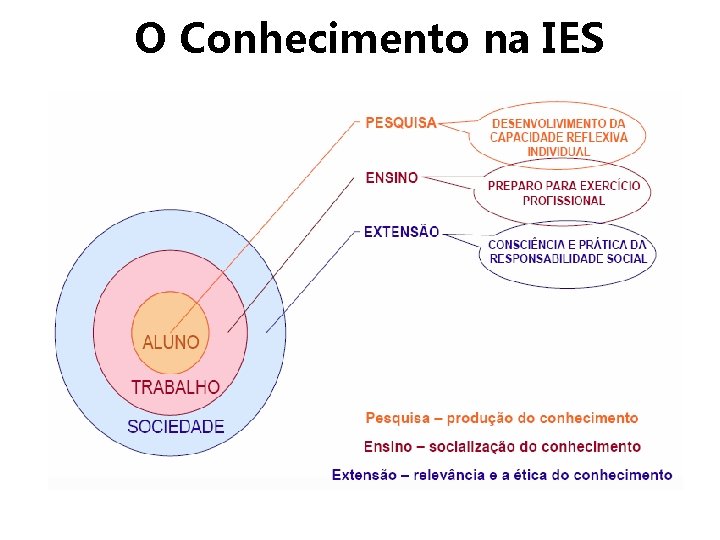 O Conhecimento na IES 