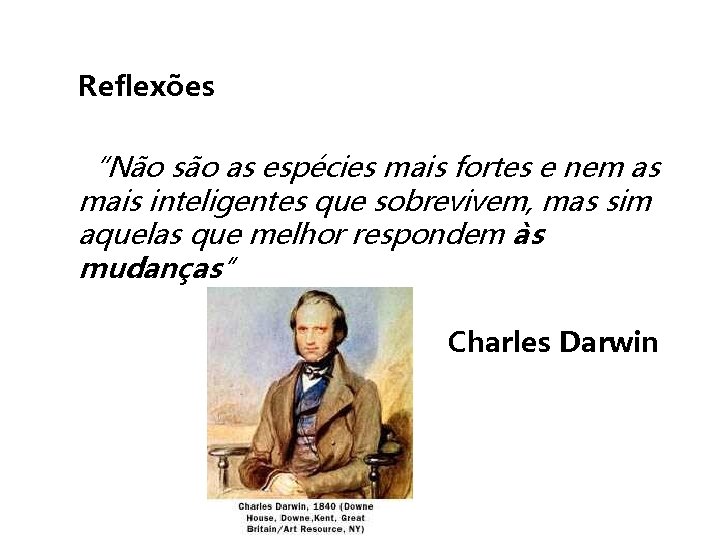 Reflexões “Não são as espécies mais fortes e nem as mais inteligentes que sobrevivem,