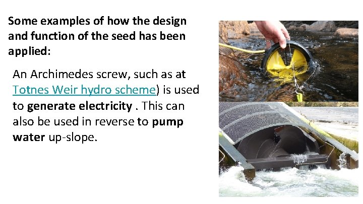 Some examples of how the design and function of the seed has been applied: