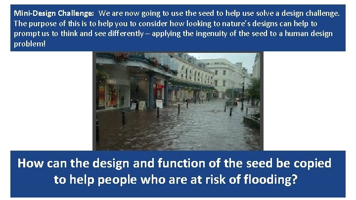 Mini-Design Challenge: We are now going to use the seed to help use solve