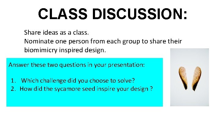 CLASS DISCUSSION: ● Share ideas as a class. ● Nominate one person from each
