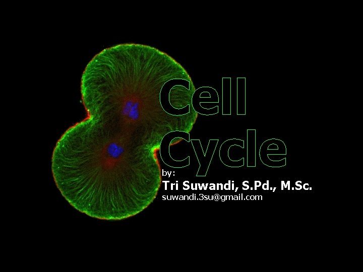 Cell Cycle by: Tri Suwandi, S. Pd. , M. Sc. suwandi. 3 su@gmail. com