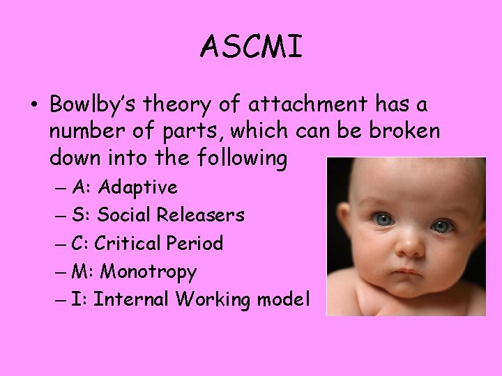 ASCMI • Bowlby’s theory of attachment has a number of parts, which can be