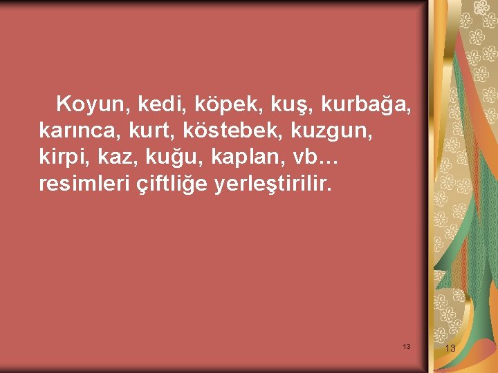 Koyun, kedi, köpek, kuş, kurbağa, karınca, kurt, köstebek, kuzgun, kirpi, kaz, kuğu, kaplan, vb…