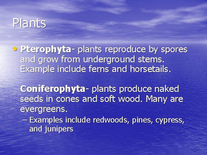 Plants • Pterophyta- plants reproduce by spores and grow from underground stems. Example include