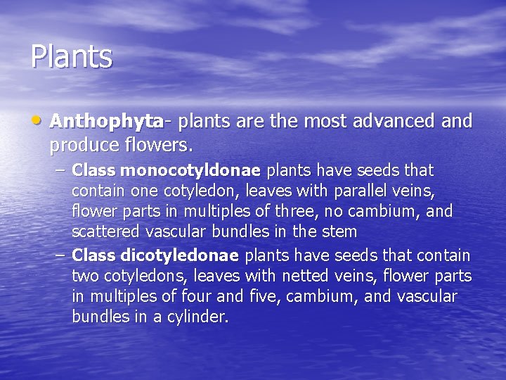 Plants • Anthophyta- plants are the most advanced and produce flowers. – Class monocotyldonae