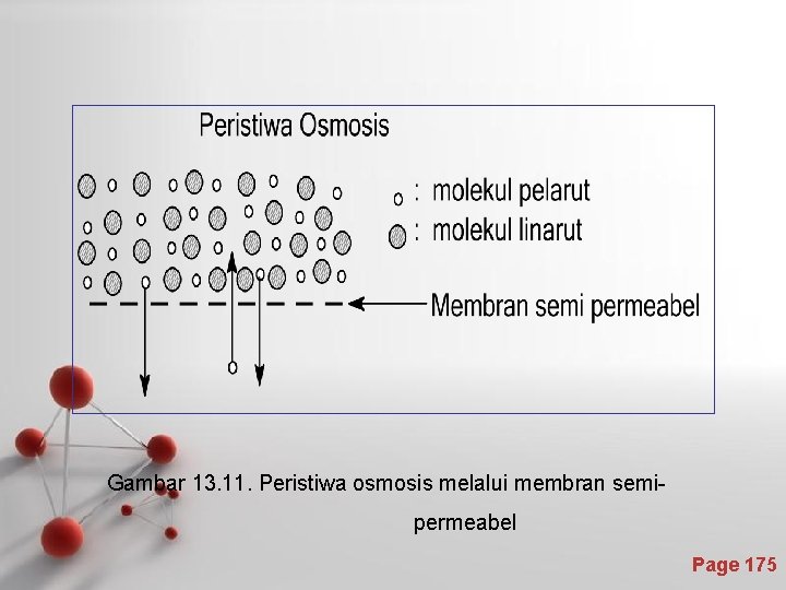 Gambar 13. 11. Peristiwa osmosis melalui membran semipermeabel Page 175 