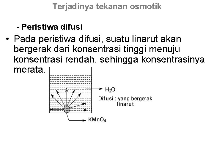 Terjadinya tekanan osmotik - Peristiwa difusi • Pada peristiwa difusi, suatu linarut akan bergerak