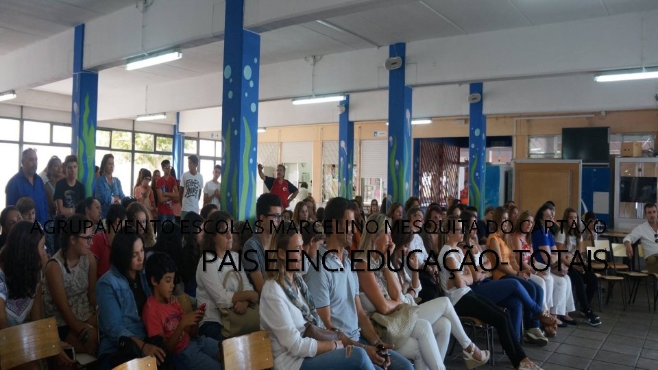 AGRUPAMENTO ESCOLAS MARCELINO MESQUITA DO CARTAXO PAIS E ENC. EDUCAÇÃO- TOTAIS 