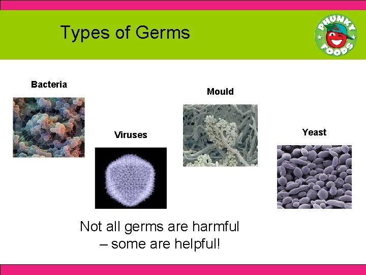 Types of Germs Bacteria Mould Viruses Not all germs are harmful – some are
