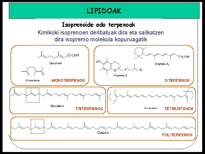 LIPIDOAK Isoprenoide edo terpenoak Kimikoki isoprenoen deribatuak dira eta sailkatzen dira isopremo molekula kopuruagatik