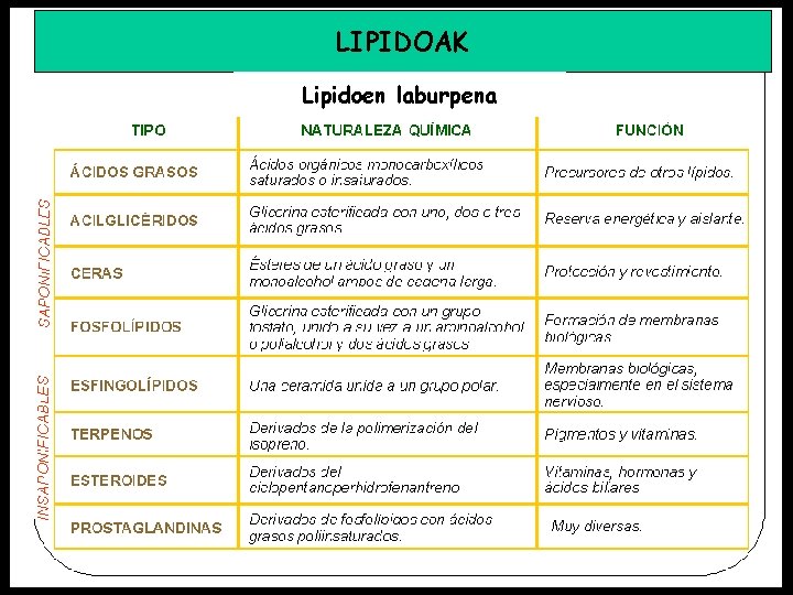 LIPIDOAK Lipidoen laburpena 