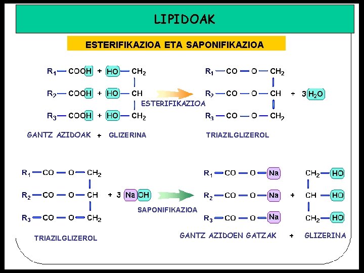 LIPIDOAK ESTERIFIKAZIOA ETA SAPONIFIKAZIOA ESTERIFIKAZIOA GANTZ AZIDOAK GLIZERINA TRIAZILGLIZEROL SAPONIFIKAZIOA TRIAZILGLIZEROL GANTZ AZIDOEN GATZAK