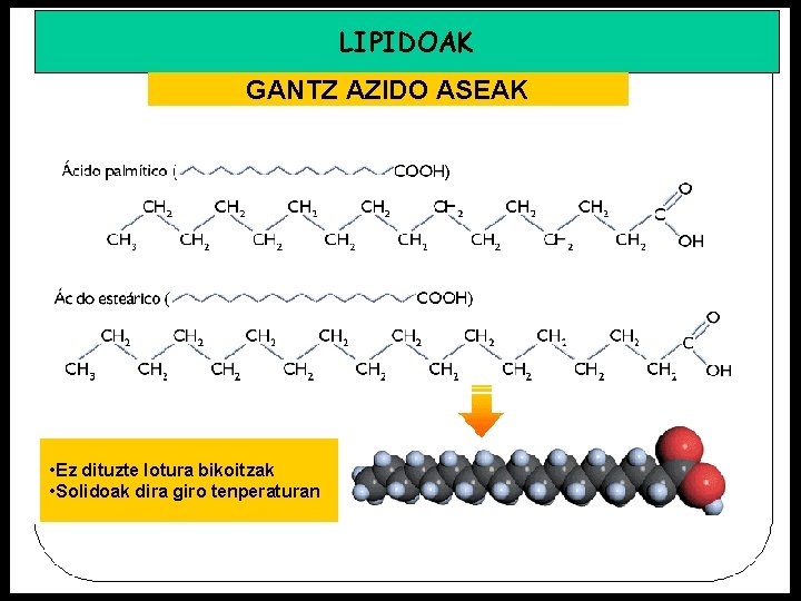 LIPIDOAK GANTZ AZIDO ASEAK • Ez dituzte lotura bikoitzak • Solidoak dira giro tenperaturan