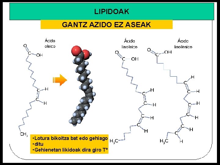 LIPIDOAK GANTZ AZIDO EZ ASEAK • Lotura bikoitza bat edo gehiago • ditu •