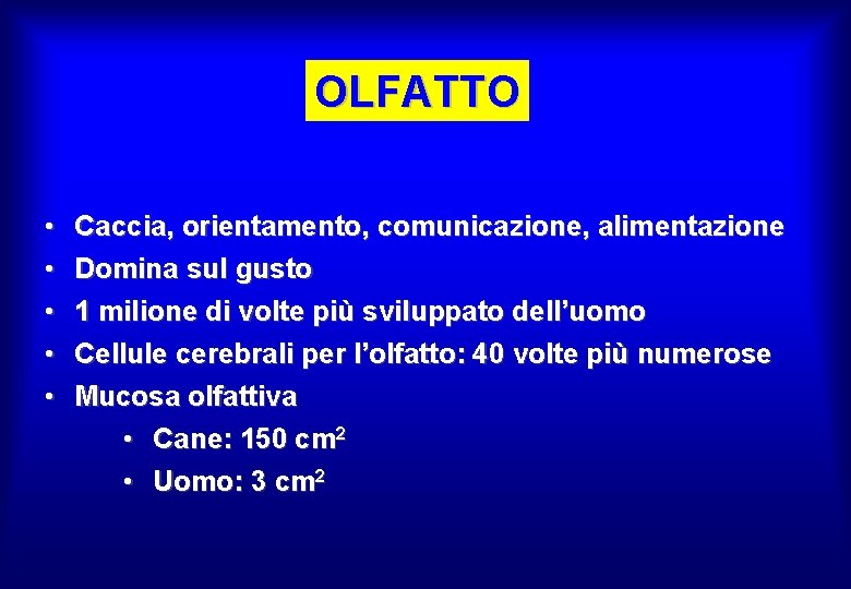 OLFATTO • • • Caccia, orientamento, comunicazione, alimentazione Domina sul gusto 1 milione di