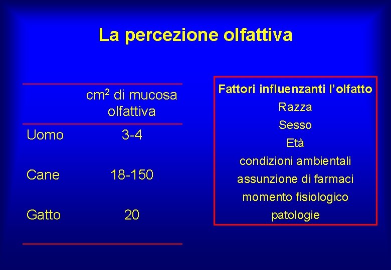 La percezione olfattiva cm 2 di mucosa olfattiva Uomo 3 -4 Cane 18 -150