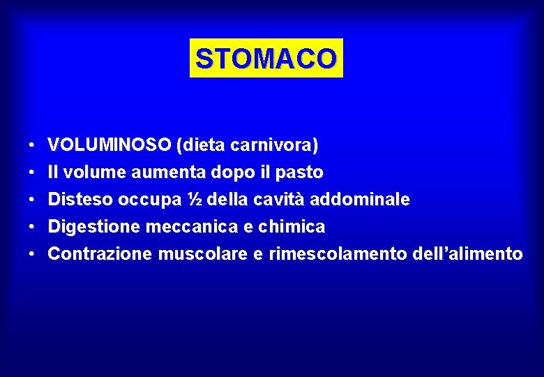 STOMACO • • • VOLUMINOSO (dieta carnivora) Il volume aumenta dopo il pasto Disteso