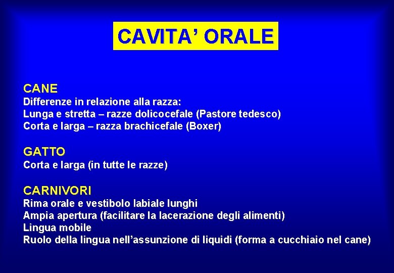 CAVITA’ ORALE CANE Differenze in relazione alla razza: Lunga e stretta – razze dolicocefale