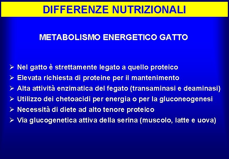 DIFFERENZE NUTRIZIONALI METABOLISMO ENERGETICO GATTO Ø Ø Ø Nel gatto è strettamente legato a