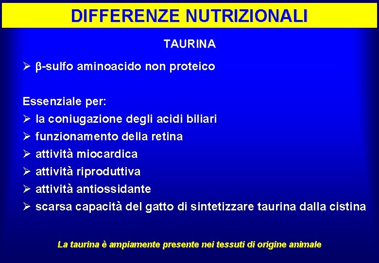 DIFFERENZE NUTRIZIONALI TAURINA Ø -sulfo aminoacido non proteico Essenziale per: Ø la coniugazione degli