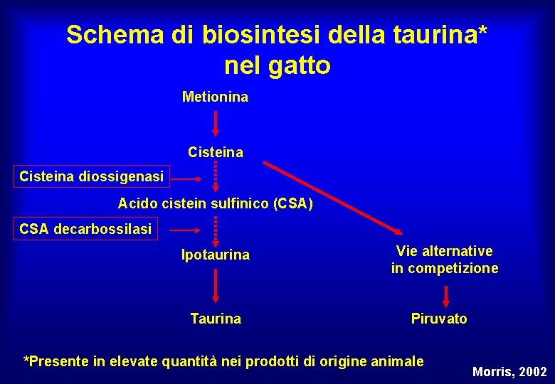 Schema di biosintesi della taurina* nel gatto Metionina Cisteina diossigenasi Acido cistein sulfinico (CSA)