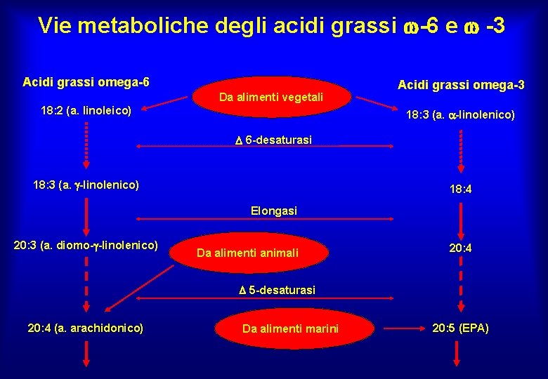 Vie metaboliche degli acidi grassi -6 e -3 Acidi grassi omega-6 Da alimenti vegetali