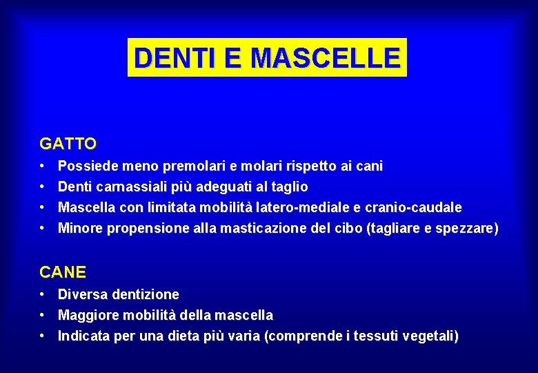 DENTI E MASCELLE GATTO • • Possiede meno premolari e molari rispetto ai cani